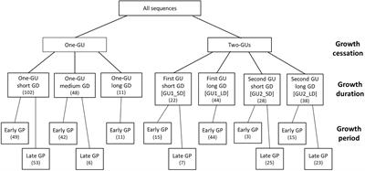 A Comparative Study on the Branching Pattern of Monocyclic and Bicyclic Shoots of Apple cv. “Fuji”